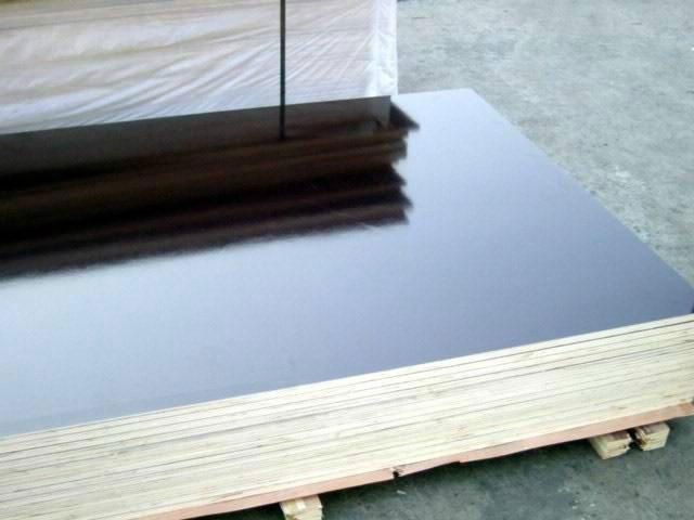 Construction Plywood for Building Material 3