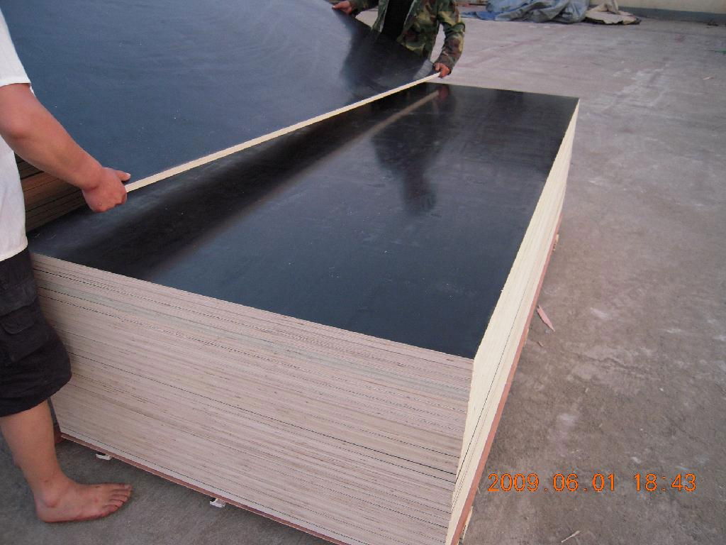 Construction Plywood for Building Material 4