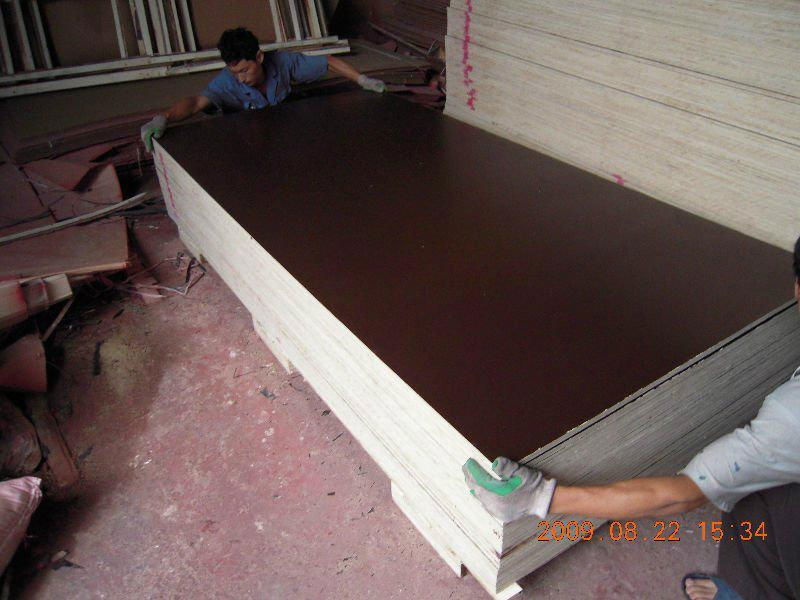 Construction Plywood for Building Material 5