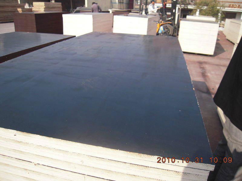 Shuttering Plywood with Cheap Price