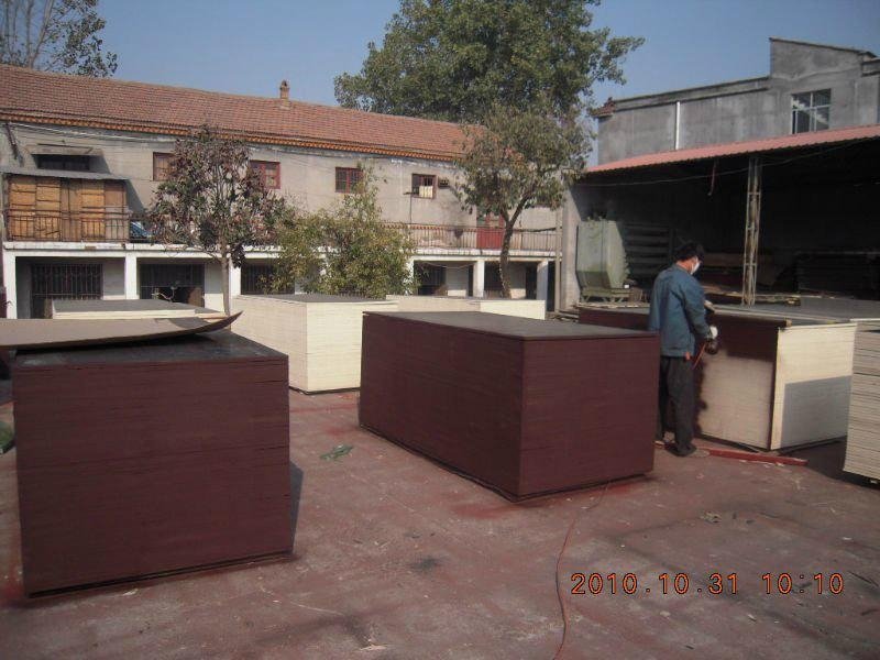 Good Quality Marine Plywood for Building Construction Material