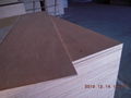 Commercial Plywood Sheet for Furniture