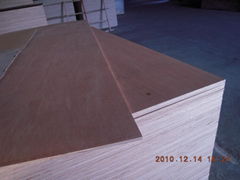 Commercial Plywood Sheet for Furniture Use