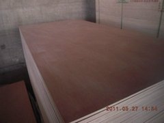 Okoume Plywood Board with Cheap Price