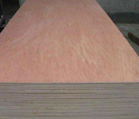 Bintangor Plywood Board with High Quality 2