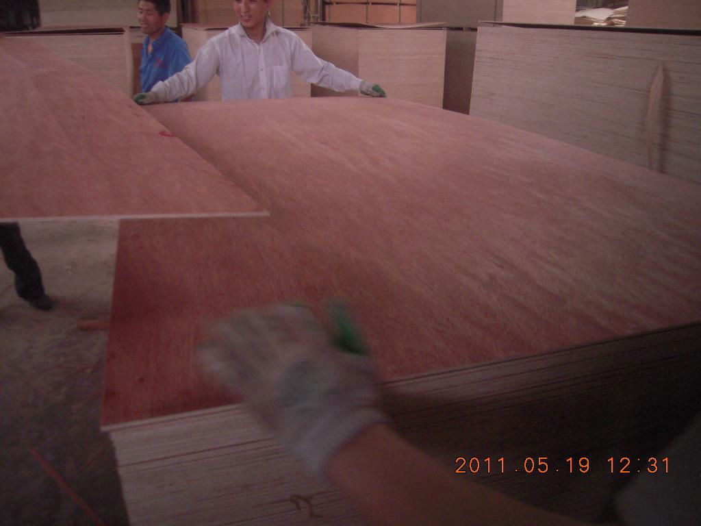 Bintangor Plywood Board with High Quality 3