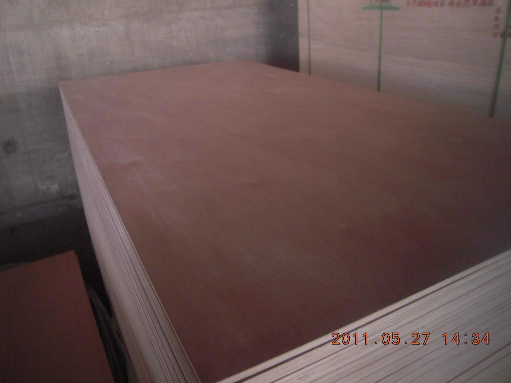 Bintangor Plywood Board with High Quality 4