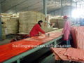 Fancy Plywood Sheet with High Quality 3