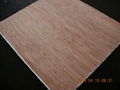 Fancy Plywood Sheet with High Quality 4