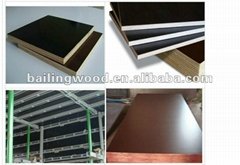 Concrete Formwork Plywood Board for Construction