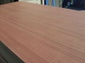 Natural Wood Veneer MDF Board from China 2