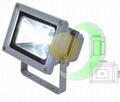 1*10W LED Floodlight