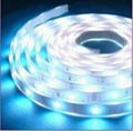 waterproof 3528 LED Flexible strip 1