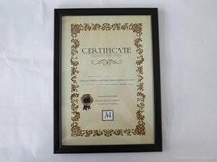 PS Certificate Frame