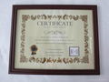 PS Certificate Frame