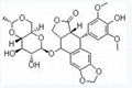 Etoposide，TENIPOSIDE cas no 33419-42-0 1