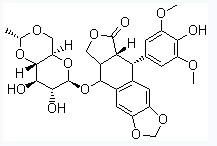 Etoposide，TENIPOSIDE cas no 33419-42-0