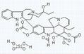 Vincristine Sulfate  , Apocynaceae sp,Leurocristine sulfate salt cas no 2068-78- 1