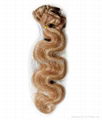 clip on hair extension 2