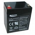 Sealed maintenance free lead acid battery