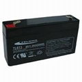 Maintenance free battery  1