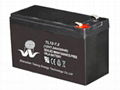 SMF battery  1