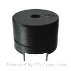 Magnetic Transducer