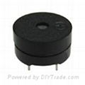 Magnetic Transducer 5