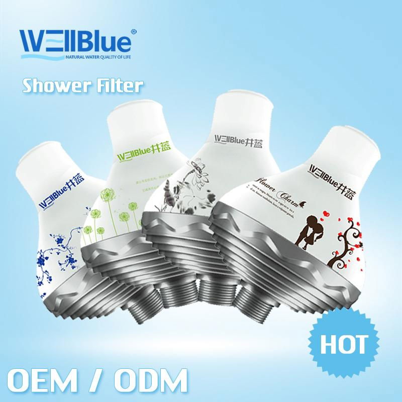 SPA shower filter