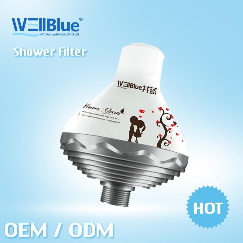SPA shower filter 5