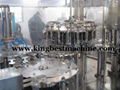 Fruit Juice Filling System 3