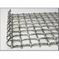 High quality Stainless Steel Crimped Wire Mesh Manufacture 3