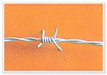 Barbed Wire 4