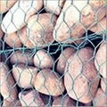 high quality hot-dipped & electro galvanized, PVC, Gabion (stone cage net ) wire 2