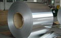 Stainless steel coils/strips 4