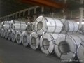 Stainless steel Cold rolled/2B/BA/Polished coils/strips 2