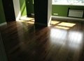 American Walnut Semi Solid Flooring 5