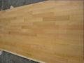 Engineered Beech Wood Flooring 2