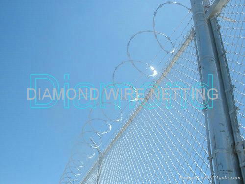 Razor Barbed Wire 2