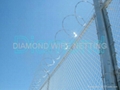 Razor Barbed Wire 2
