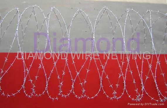 Barbed Wire 4