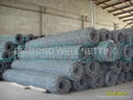 Heavy hexagonal wire mesh 4