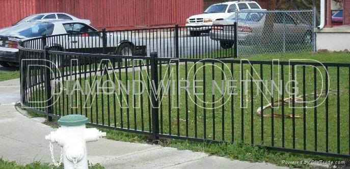 Ornamental Iron Fence  3