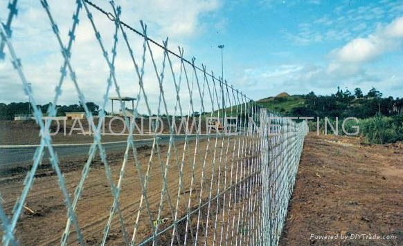 Razor Wire Fencing