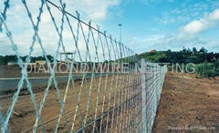 Razor Wire Fencing