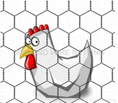 Hexagonal Wire Mesh