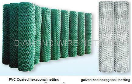 Hexagonal Wire Mesh 2