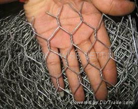 Hexagonal Wire Mesh 3