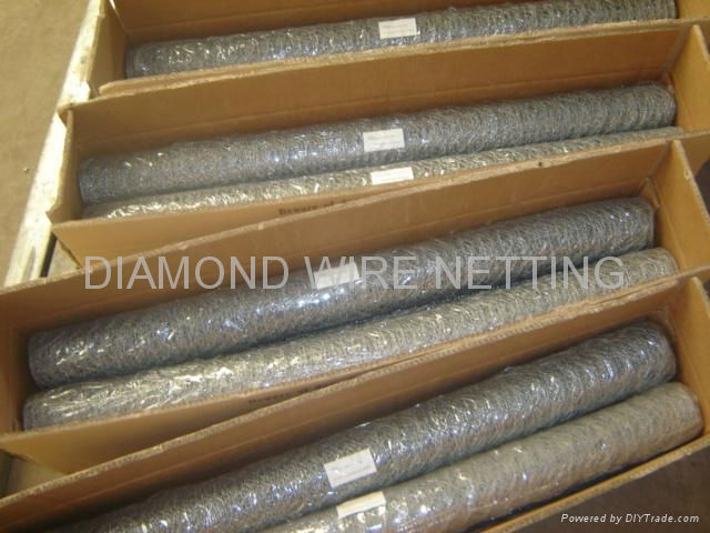 Hexagonal Wire Mesh 5