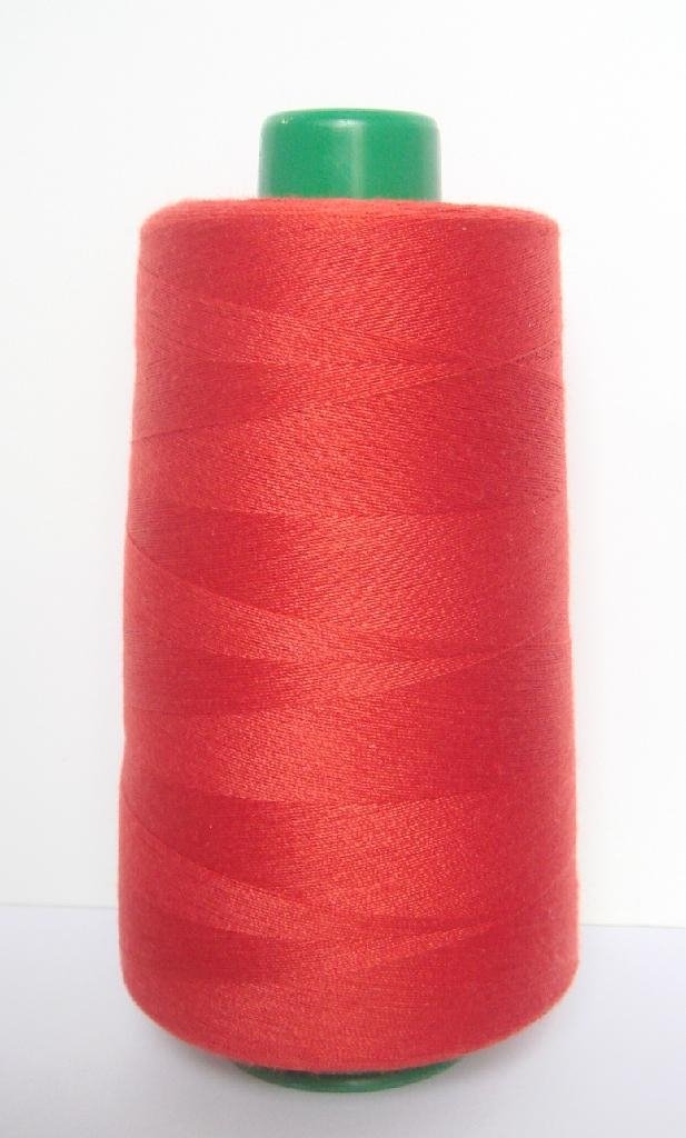 Polyester sewing thread 2
